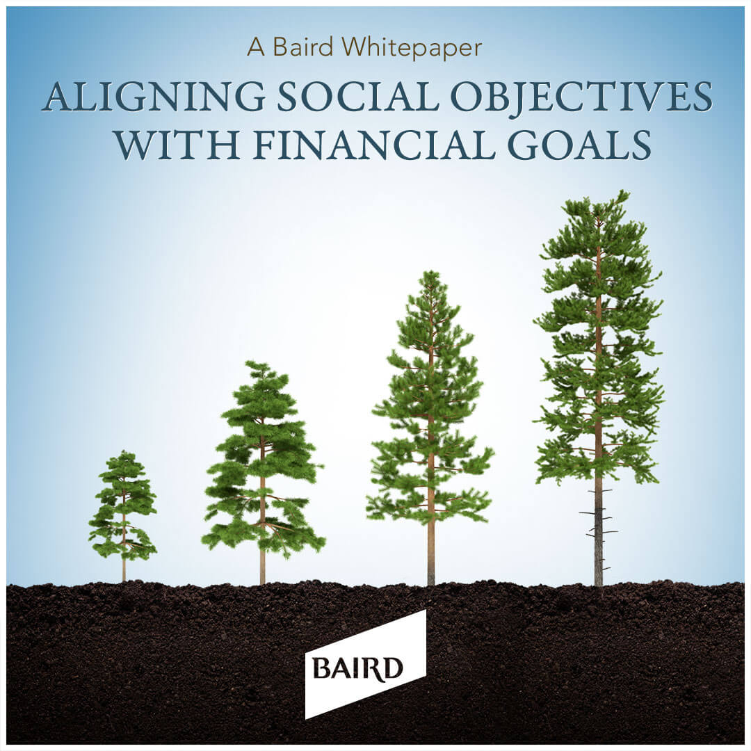 Baird Social ESG Investing Whitepaper