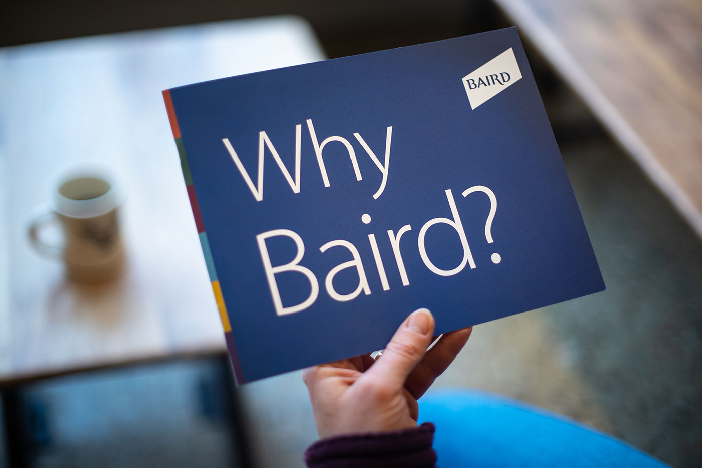 Why Baird brochre cover